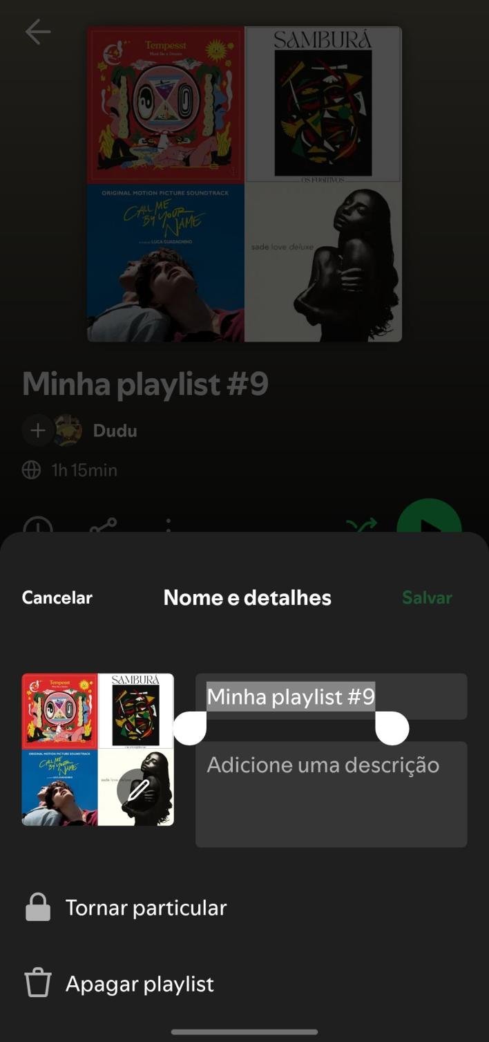 Tela da playlist no Spotify com descrição e adicionar músicas mal posicionados