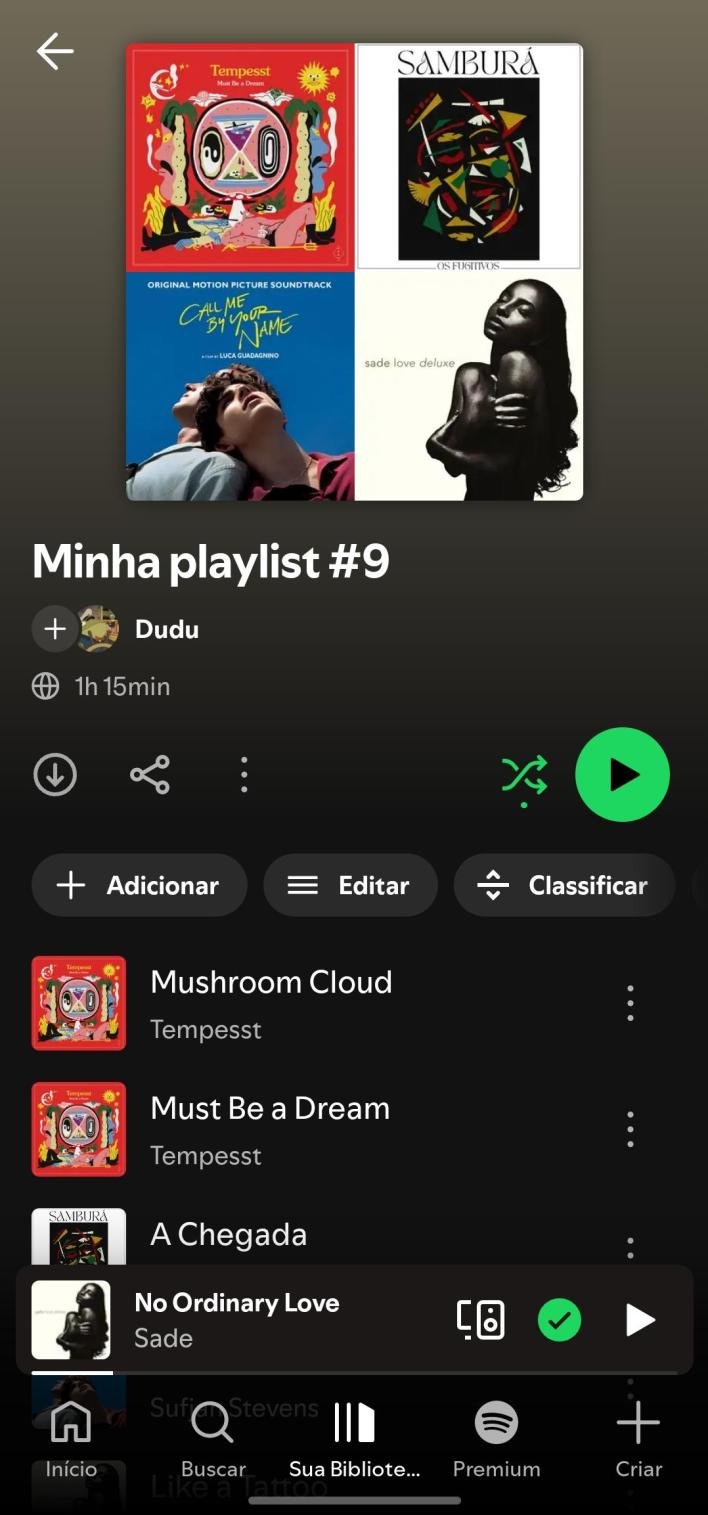 Playlist do Spotify sem indicação visual de restrições Premium